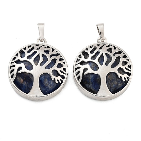 Natural Sodalite Pendants G-P350-D16-1