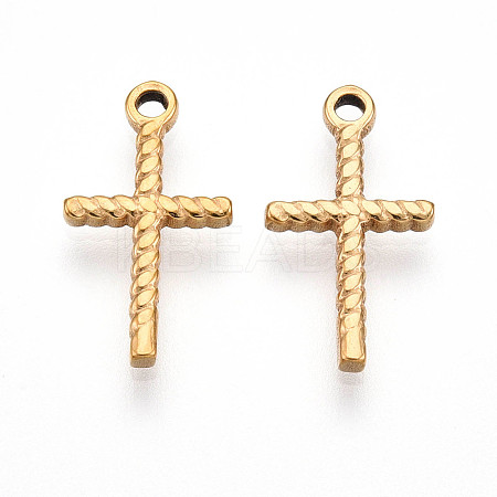 304 Stainless Steel Charms STAS-N109-91G-1
