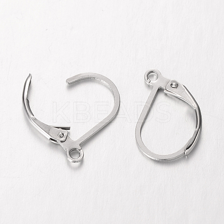 Tarnish Resistant 304 Stainless Steel Leverback Earring Findings STAS-O084-09-1