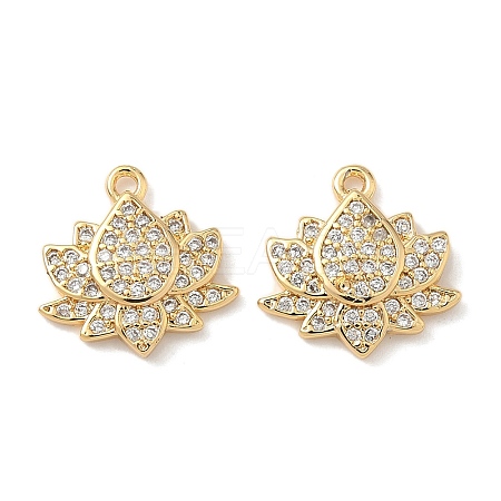 Brass Micro Pave Cubic Zirconia Charms X1-KK-C099-09G-1