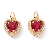 Brass Micro Pave Cubic Zirconia Charms ZIRC-A019-14G-C-1