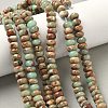 Natural Aqua Terra Jasper Beads Strands G-S366-013C-5