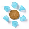 Frosted Acrylic Bead Caps MACR-S371-10A-755-4