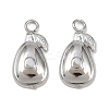 Fruit 304 Stainless Steel Charms STAS-H242-03P-03-1