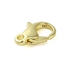 Brass Lobster Claw Clasps KK-B089-24B-G-2