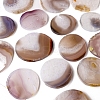 Natural Agate Slices Display Decorations PW-WG0EF27-01-4