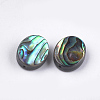 Abalone Shell/Paua Shell Beads LS-X-SSHEL-T008-04-2