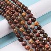 Natural Red Leopard Skin Jasper Beads Strands GSR066-4