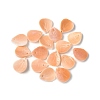 Natural Sea Shell Carved Leaf Charms SSHEL-C013-02A-1