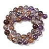 Natural Purple Phantom Quartz Lodolite Quartz Beads Strands G-R446-12mm-01A-2