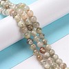 Natural Arusha Sunstone Beads Strands G-P488-04A-3
