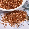 MIYUKI Delica Beads X-SEED-J020-DB1804-1