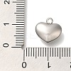 304 Stainless Steel Charms STAS-P371-069P-02-3