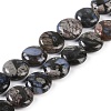 Natural Glaucophane Beads Strands G-C141-E01-03-1