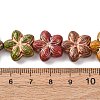 Painted Glass Beads Strands GLAA-B037-12B-12B-4