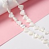 Natural Trochid Shell/Trochus Shell Beads SSHEL-O001-27C-5