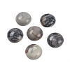 Natural Picasso Jasper Cabochons G-T020-18mm-42-1