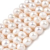 Natural Cultured Freshwater Pearl Beads Strands PEAR-I007-07S-01A-2