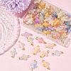 100Pcs Acrylic Pendant PALLOY-FS00039-02-7