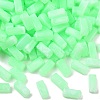 Opaque Acrylic Beads MACR-C037-02C-1