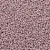 MIYUKI Round Rocailles Beads X-SEED-G007-RR1086-4