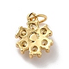 Rack Plating Brass Micro Pave Cubic Zirconia Charms KK-A160-22B-G-3