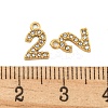 304 Stainless Steel Pendants X-STAS-L080-002G-02-3