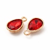 Faceted Glass Rhinestone Pendants GLAA-I051-A21-3