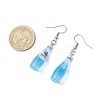 Resin Cocktail Pendants & 304 Stainless Steel Dangle Earrings for Women EJEW-JE06406-3