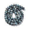Natural Sesame Jasper Beads Strands G-K380-A18-01-3