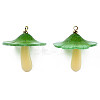 Plastic Pendants KY-N015-118C-02-3