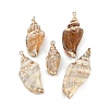Natural Shell Pendants SHEL-K009-01C-1