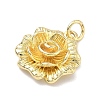 Brass Pendants KK-K417-10G-2