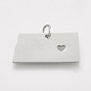 Tarnish Resistant 201 Stainless Steel Pendants STAS-T038-43-2