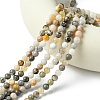 Natural Bamboo Leaf Agate Round Bead Strands G-M248-6mm-04-5