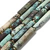 Natural Chrysocolla Beads Strands G-D353-A06-2