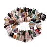 Natural Mixed Stone Beads Strands G-Z155-B03-01-3