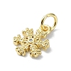 Brass Micro Pave Clear Cubic Zirconia Charms LS-KK-H475-55G-01-2