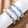 Natural Aquamarine Chip Beaded Stretch Bracelets for Women Men LS-BJEW-K277-01-1