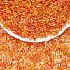 200G Electroplate Glass Seed Beads GLAA-SZ0002-17A-1
