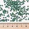 MIYUKI Round Rocailles Beads X-SEED-G008-RR0354-4