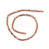 Natural Freshwater Shell Dyed Beads Strands X-SHEL-M018-14-02-2