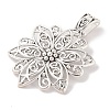 Tibetan Style Alloy Focal Pendants LF9727Y-2