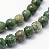 Natural African Jade Beads Strands G-P326-12-6mm-3