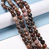 Natural Petrified Wood Beads Strands G-E571-27B-2