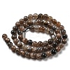 Natural Black Moonstone Beads Strands G-A219-A01-03-3