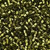 Glass Seed Beads X-SEED-S042-04B-25-3