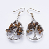 Natural Gemstone Dangle Earrings EJEW-F147-H-2