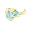 Brass Enamel Pendants KK-Z101-09G-C01-2