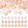 60Pcs Handmade Transparent Lampwork Pendants LAMP-TA0001-28-2